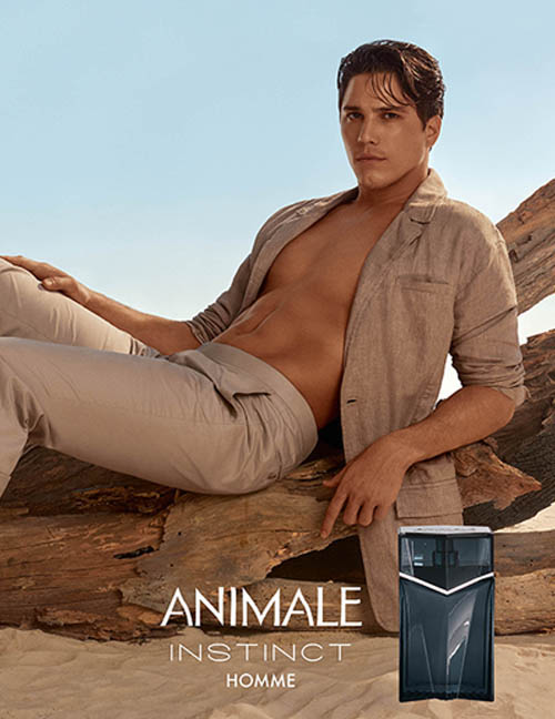 Animale Homme